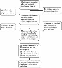 Flow Chart Of The Participation In The Present Study