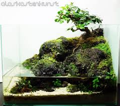 35l Bonsai Paludarium Aquascape Aquarium Landscape Water Terrarium