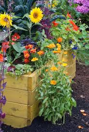 Sunflowers Calendula Veggies Plant Flower Stock Photography Gardenphotos Com Vegetable Garden Soil Garden Soil Flower Garden Design
