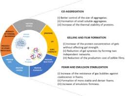 • animal proteins are tastier than plant proteins are. Mixing Animal And Plant Proteins Is This A Way To Improve Protein Techno Functionalities Sciencedirect