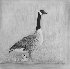 A Graphite Pencil Drawing Of A Mother Goose And Gosling Pencil Drawings Goose Drawing Drawings