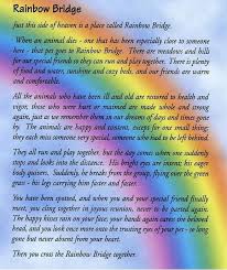 When an animal dies that has been especially close to someone here, that pet goes to rainbow. Rainbow Bridge Rainbow Bridge Poem Rainbow Bridge Dog Rainbow Bridge