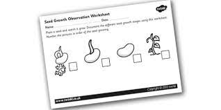 Check spelling or type a new query. Germination Worksheet Seed Growth Observation Activity