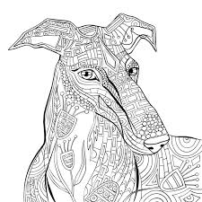Pin On Free Adult Coloring Pages