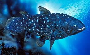 Carlota carmona only mucho le estaba durando Mañana es su