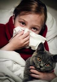 High quality ingredients · science based foods · vet recommended Living With Cat Allergies