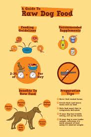 Raw pet food is a 100% complete and balanced aafco approved diet for dogs and cats. Raw Dog Food Guide Poster By Stephanie Araque Via Behance Raw Dog Food Recipes Dog Food Recipes Raw Dog Food Diet