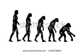 Image result for FROM MAN TO MONKEY EVOLUTION