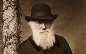 So is people developing immunity to covid 19. Evolution Doesn T Give A Damn About Us Or The Usa The Nation