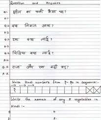 Write seven sentences about it. Cbse Class 1 Hindi Sample Paper Set H