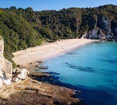 Lonely Bay Near Cooks Beach Whitianga Secluded Beach Bay Of Islands National Parks