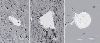 Scientists use radiometric dating to determine the absolute age of a rock. Radiometric Dating Of Sedimentary Rocks The Application Of Diagenetic Xenotime Geochronology Sciencedirect