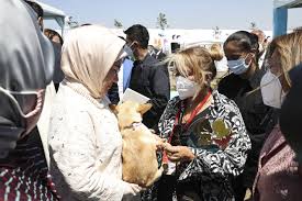 Aug 09, 2004 · yonca evcimiki cameron diaza dönüştürebilmiş bi insan. Singer Evcimik Finds Her Best Bud Thanks To First Lady Erdogan Daily Sabah