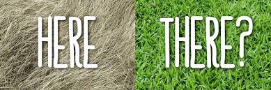 Hal tersebut adalah perumpamaan yang memiliki makna bahwa apa yang dimiliki oleh orang lain, biasanya terlihat lebih indah (lebih baik) dari apa yang kita miliki. Mengapa Rumput Tetangga Selalu Terlihat Lebih Hijau Seruni Id