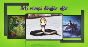 Mimpi cahaya melambangkan sumber kehidupan ada yang bermimpi melihat cahaya merah, cahaya putih, hingga cahaya yang menyilaukan. Mimpi Dikejar Ular Hitam Putih