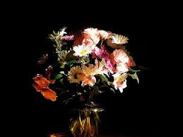 Salt lake city, ut consumer products and services florists flower shops. 7 Great Flower Shops In Salt Lake City Ut Gardening Channel