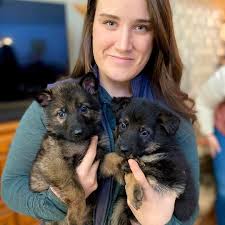 Wasifu kwa Kidder Hill Shepherds