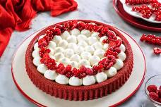 Arts On Main — The Art of The Soft Tart