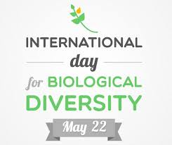 We did not find results for: International Day Of Biological Diversity Statement By Caricom Secretary General Caricom