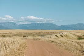 This photo from northern cape, west is titled 'richtersveld in spring'. Eastern Cape South Africa Semi Desert Landscape Known For Its Arid Beauty By Dv8or