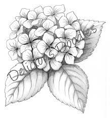 1ddf50fefaa78d0bfcdc5ddff072f31b Jpg 827 886 Hydrangea Tattoo Drawings Floral Drawing