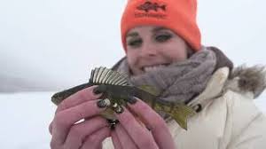 Sign Up for the 2020 Fish Lake Perch Tournament