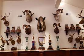 Real hunts for real hunters. Trophy Room Design Jonas Brothers Studios Of Ny