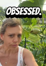 Cattle Panel Trellis Black Eyed Susan Vine