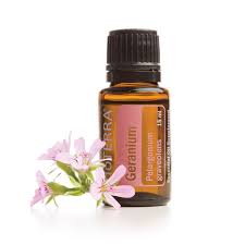 Geranium Oil Uses And Benefits Dōterra Essential Oils