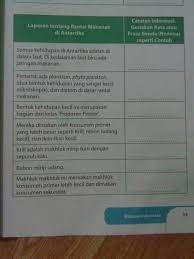 Materi belajar di rumah dari tvri untuk anak kelas 4 hingga 6 sd pada selasa (21/4/2020) tentang makhluk hidup dan lingkungannya dan tentang rantai makanan. Laporan Tentang Rantai Makanan Di Antartika Tolong Dibantu Ya Brainly Co Id
