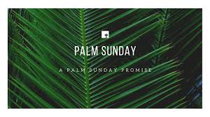Learn the history and customs of this day celebrating jesus' entry into jerusalem. The Lenten Journey A Palm Sunday Promise Word Of Life Church