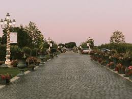 ABBY MROZ and CONNOR SHOEMAKER's Wedding Website