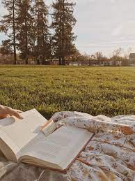San Jose Rose Garden Reading In The Park California Aesthetic Golden Hour Shot On An Iphone Nature Aesthetic Nature Photography Cottagecore Aesthetic