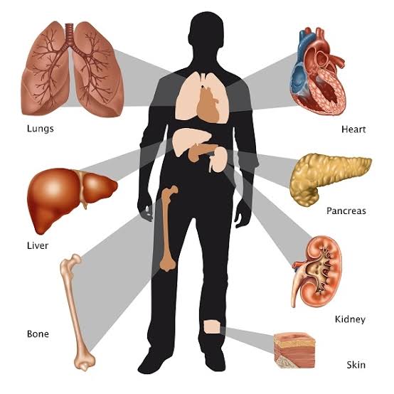 Organ transplants | healthdirect