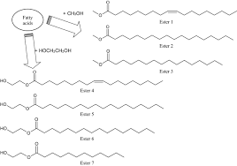 Selected Fatty Acids Esters As Potential Phb V Bioplasticizers Effect On Mechanical Properties Of The Polymer Springerlink