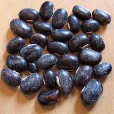 We did not find results for: Kacang Koro Kacang Kacangan
