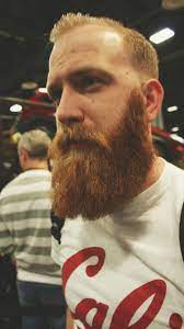 Beardstofuck Dotcom Photo Beard No Mustache Red Beard Beard Life