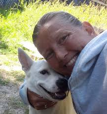 Adult golden retriever needs quiet home