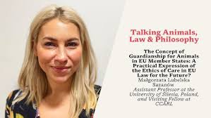 Being creative in your clinical career (for more fulfilment and variety)