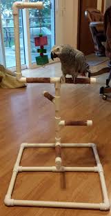 Play stands give parrots and cockatiels a fun, safe place to hang out. Pin On Diy Parrot Ideas