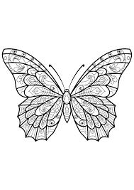 Butterfly coloring pages for adults. Detailed Butterfly Peepsburgh