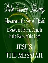 The reason is that all i have various and excellent bible quotes for you. View Source Image Palm Sunday Quotes Sunday Quotes Happy Palm Sunday