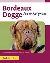 Jul 04, 2021 · spielt beim fc barcelona und wurde dort von vereinsikone und superstar lionel messi schon mehrfach im spiel geadelt. Bordeaux Dogge Charakter Wesen Erziehung Haltung Hunde Fan De