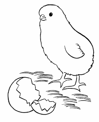 Fried chicken coloring pages for kids. Chicken Coloring Pages For Kids Coloring Home