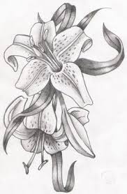 Pin By Corina Geigenmuller On Art Pencil Drawings Of Flowers Flower Drawing Drawings