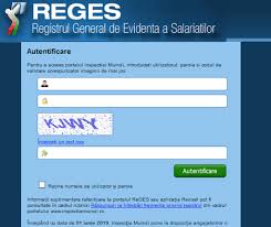 Reges revisal inspectia muncii revisal 2021. Revisal