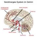 Migraine Headache Medication: Serotonin 5-ht-receptor Agonists