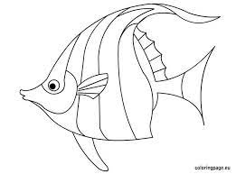 Angelfish coloring page to color, print or download. 30 Desenhos De Peixe Para Imprimir E Colorir Online Cursos Gratuitos Fish Drawings Fish Coloring Page Angel Fish