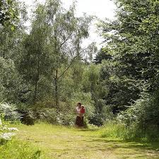 It S International Day Of Forests From Medicines Woods Homes For Wildlife Places To Escape And So Much More For Ecotourism House In The Woods Beautiful Places