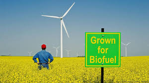 Together with a rising number of voices, within the eu, against. Despite Eu Palm Oil Ban Biofuel Problems Will Continue Environment All Topics From Climate Change To Conservation Dw 23 01 2018